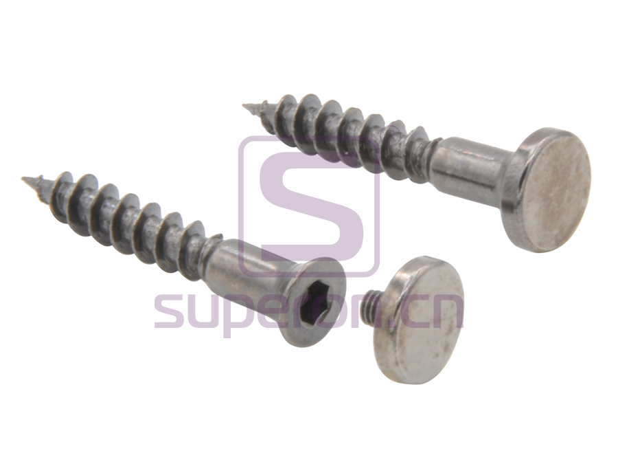 Self-tapping screw, hex, with cover