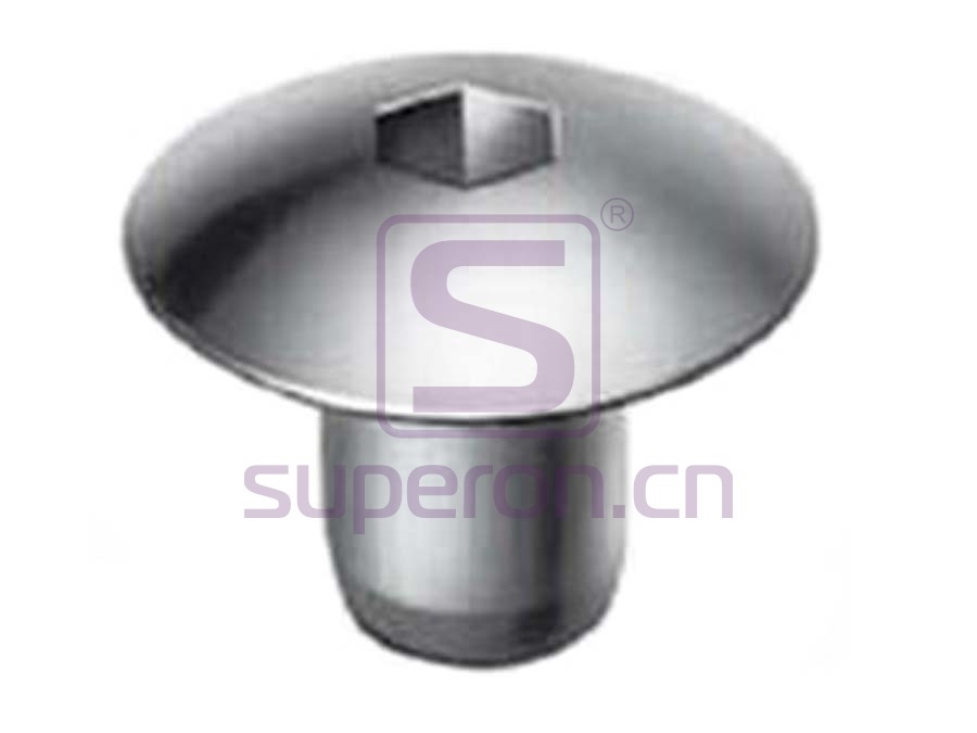 10-060 | Nut with dome head (hex)