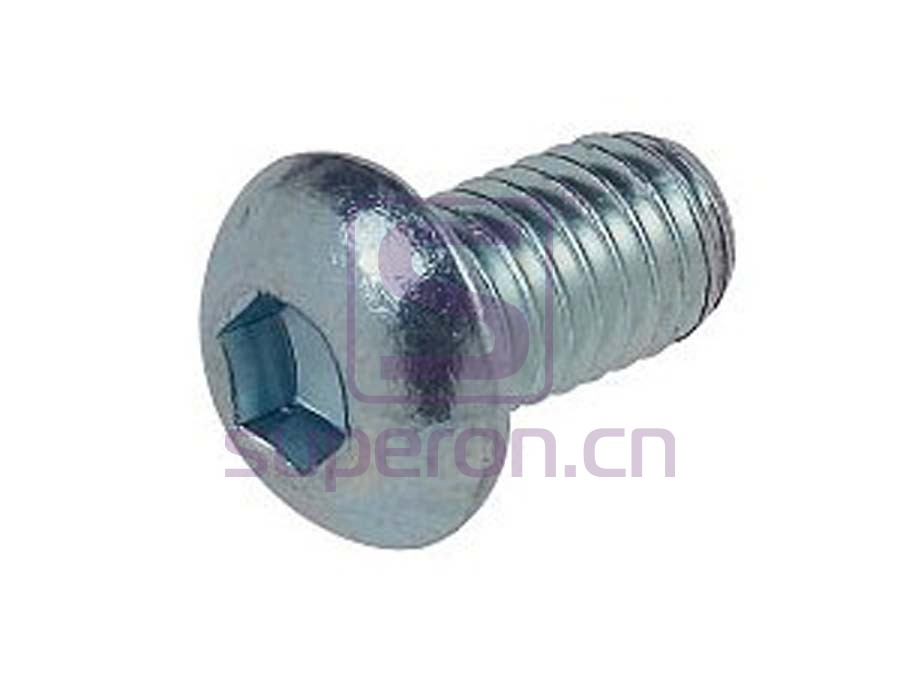 Bolt with round flat head, hex