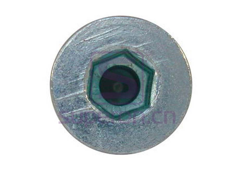 10-002 (HDS) | Cabinet screw 6,3mm