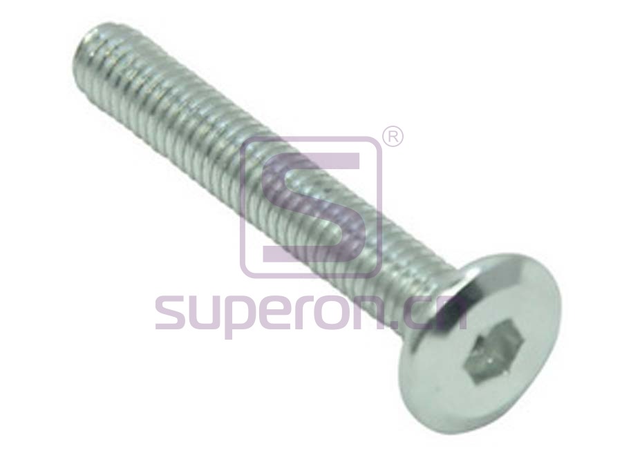 10-072-x2 | Bolt with flat hex head